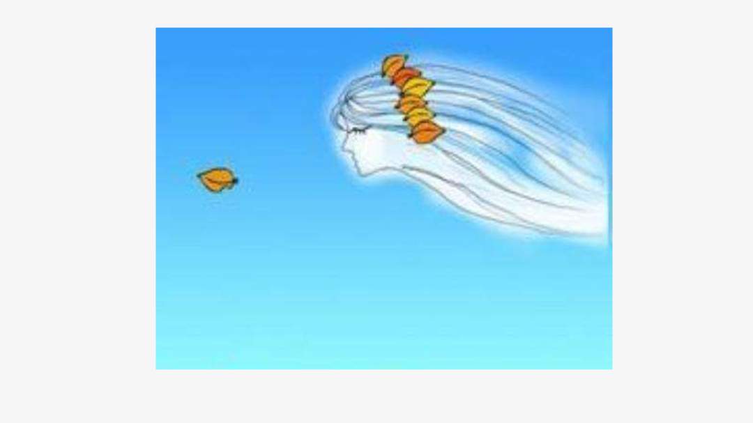 幼儿园大班语言教案：小水滴