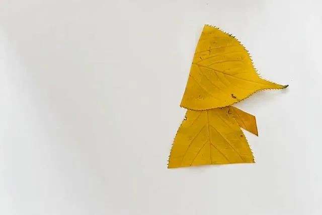 树叶手工制作一幅美丽的画：一叶知秋树叶贴画