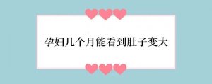 孕妇几个月能看到肚子变大
