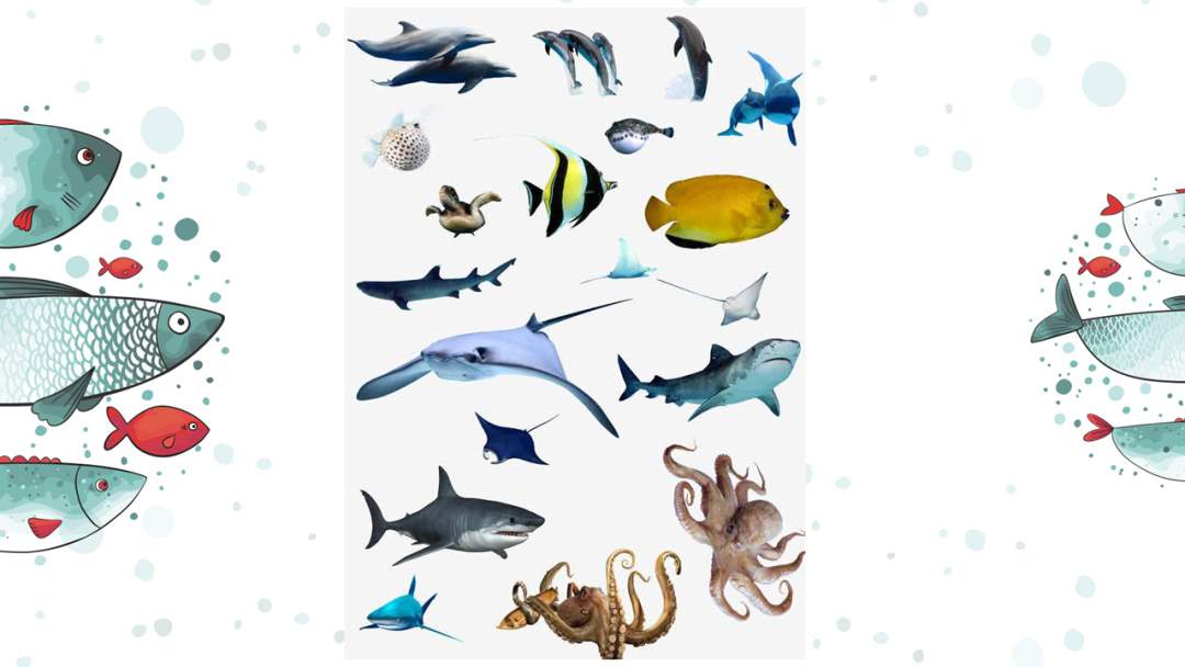 幼儿园大班美术教案：水里的鱼