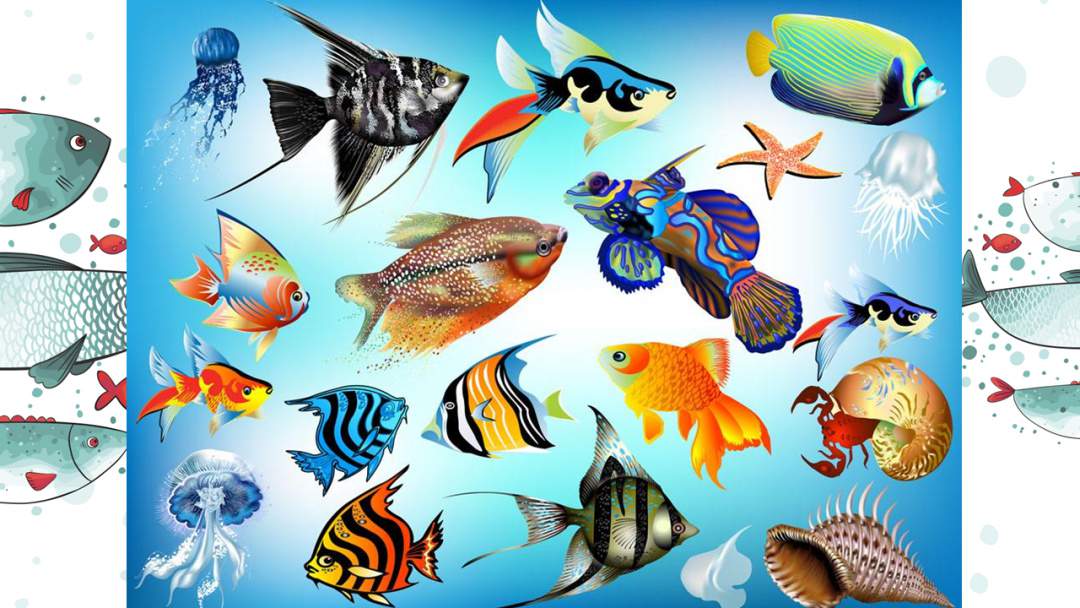 幼儿园大班美术教案：水里的鱼