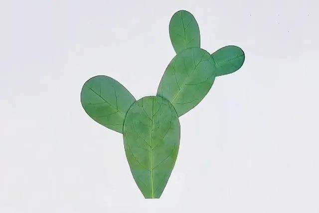 树叶手工粘贴画教程：叶子贴画仙人掌