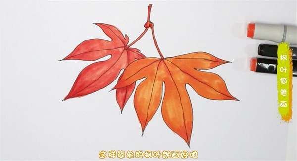 枫叶简笔画怎么画图片教程
