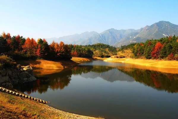 他陶醉了作文500字优秀作文