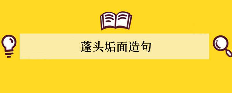 蓬头垢面造句 用蓬头垢面造句子