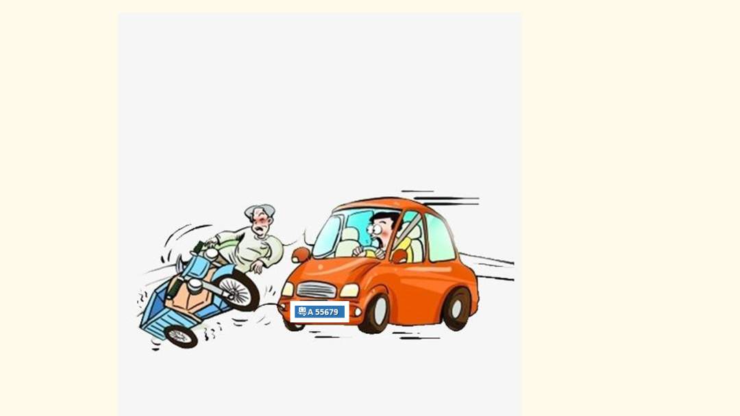 幼儿园大班科学教案：车牌的秘密