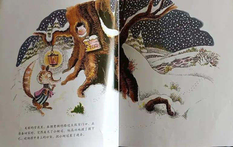 《海豚绘本花园9-威廉先生的圣诞树》