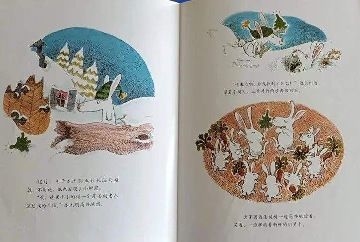 《海豚绘本花园9-威廉先生的圣诞树》