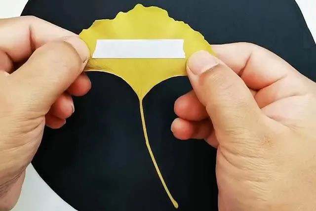 树叶手工粘贴画制作花瓶里的花(步骤图解)