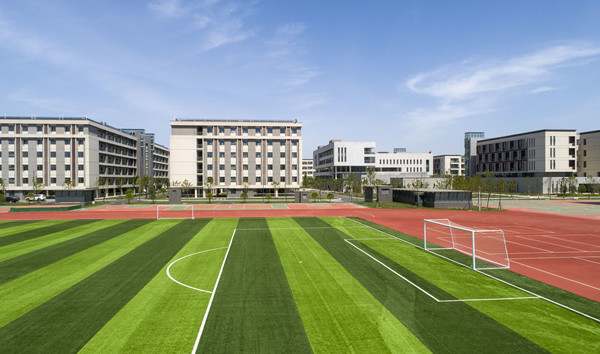 夸夸我的学校作文600字