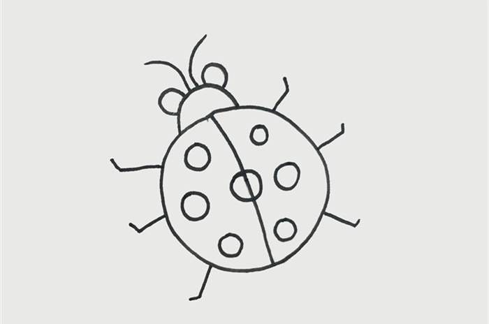 七星瓢虫简笔画怎么画图片教程