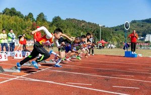 精彩的运动会作文600字（精选5篇）