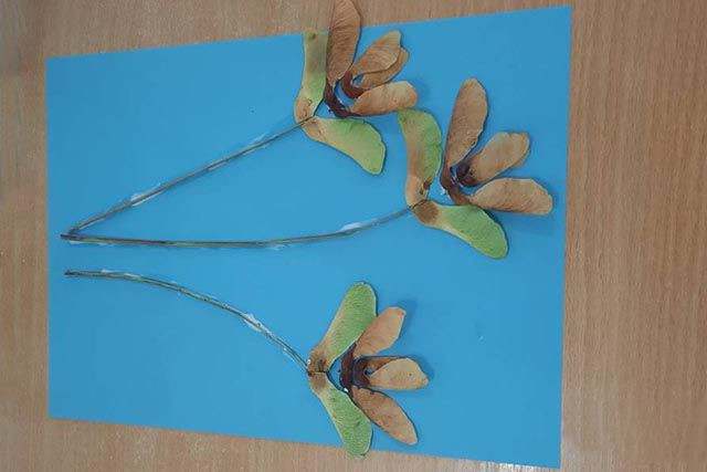 枫树种子粘贴画制作花束(步骤图解)