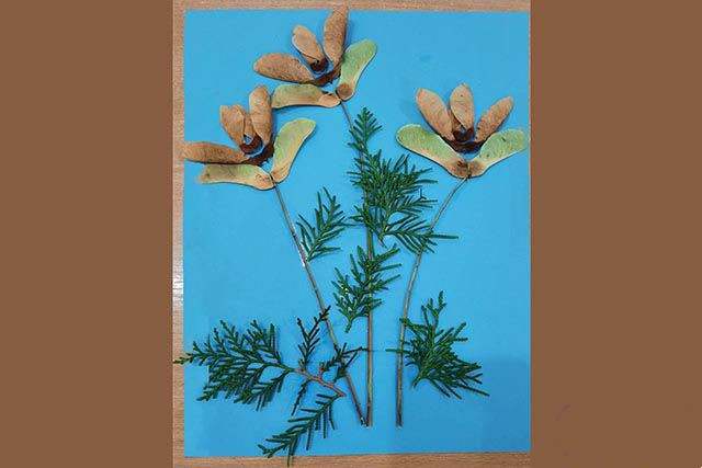 枫树种子粘贴画制作花束(步骤图解)