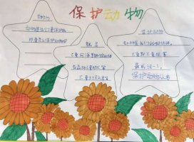 保护动物手抄报简单又漂亮三年级（精选11张）