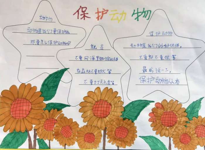 保护动物手抄报简单又漂亮三年级