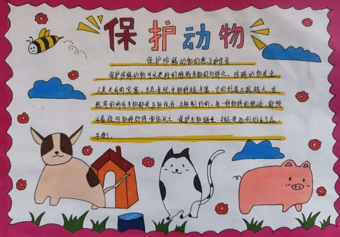 保护动物手抄报简单又漂亮三年级