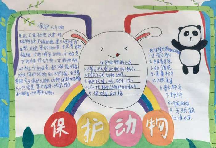 保护动物手抄报简单又漂亮三年级
