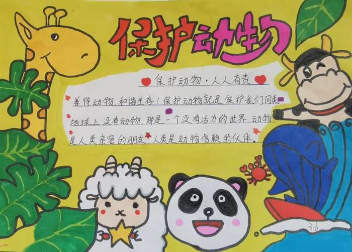 保护动物手抄报简单又漂亮三年级