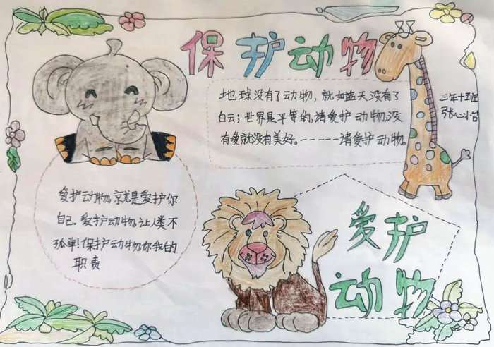 保护动物手抄报简单又漂亮三年级