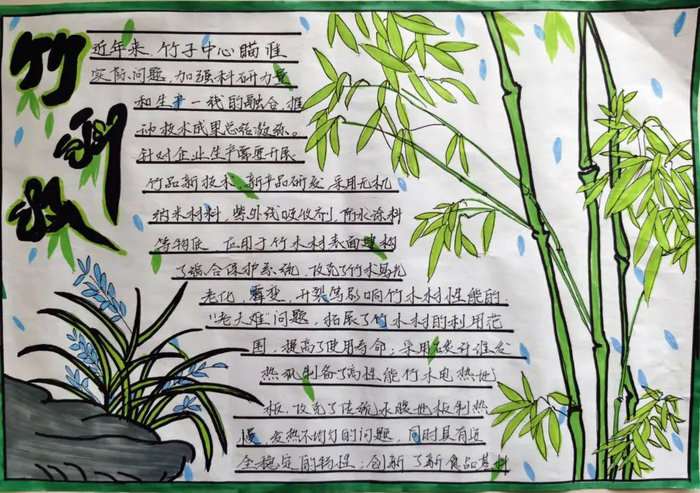 关于竹文化的手抄报