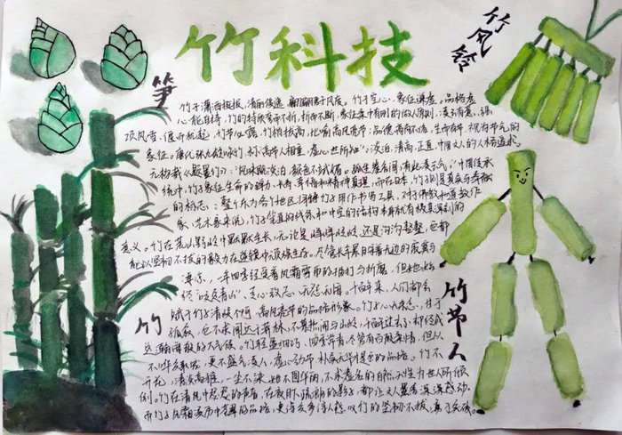 关于竹文化的手抄报