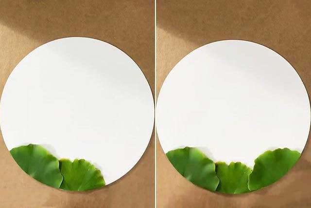 银杏叶手工树叶粘贴画荷花简单又好看