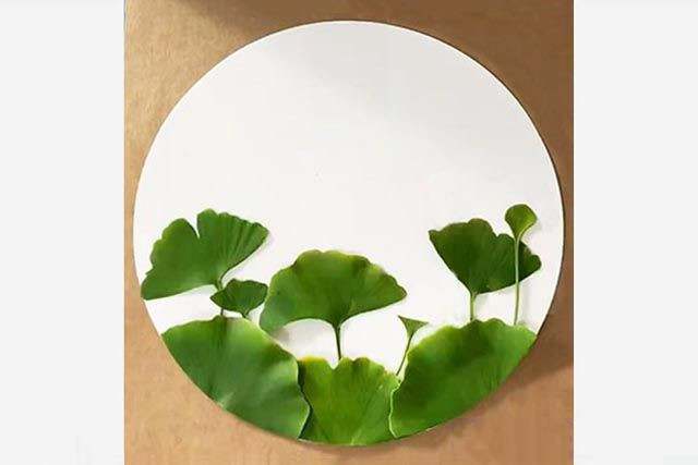 银杏叶手工树叶粘贴画荷花简单又好看