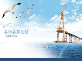 幼儿园大班科学教案：各种各样的桥（含PPT课件