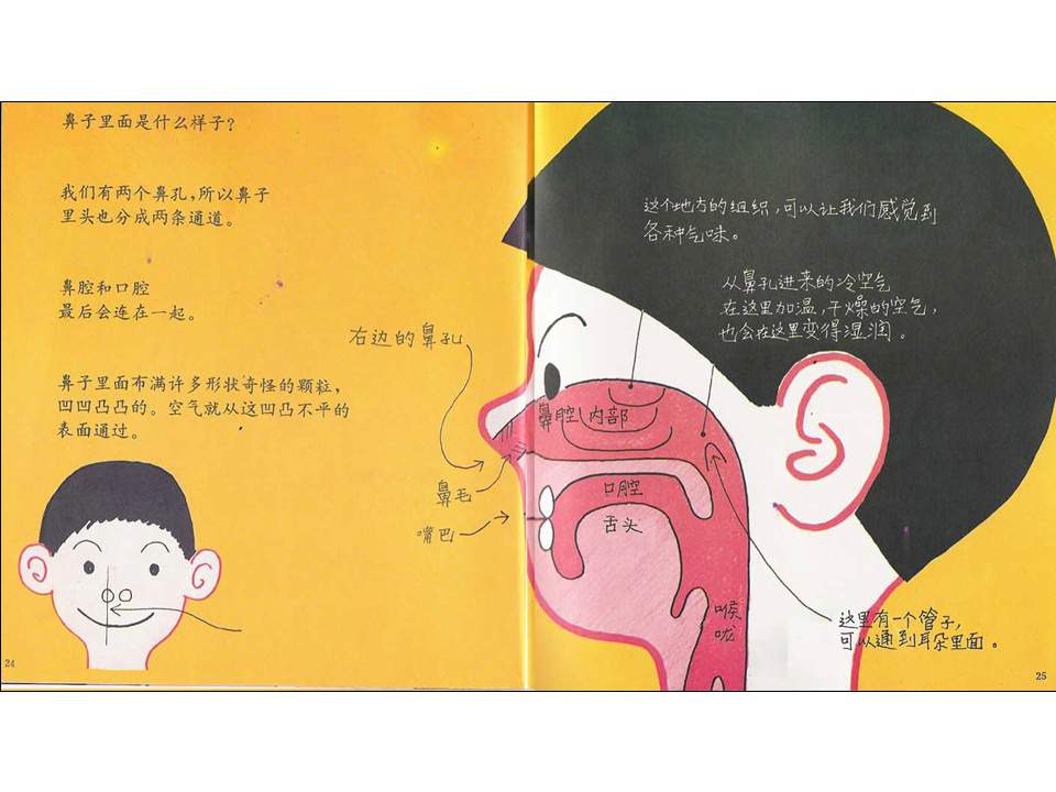 《鼻孔的故事》