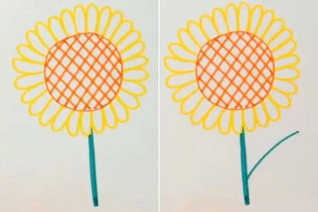 向日葵图片简笔画怎么画最简单