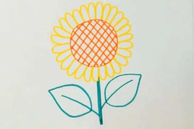 向日葵图片简笔画怎么画最简单