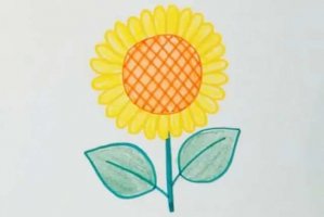 向日葵图片简笔画怎么画最简单(步骤图解)