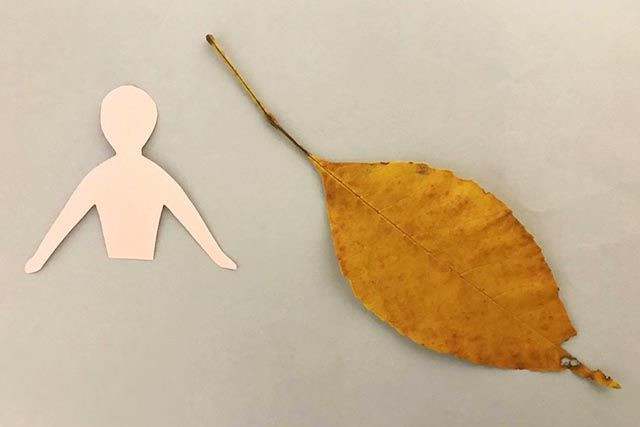 幼儿园秋天手工制作：树叶手工粘贴画美人鱼