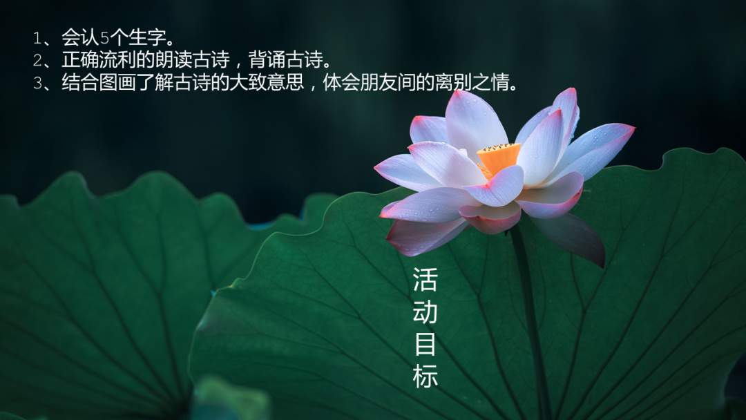 幼儿园大班语言教案：芙蓉楼送辛渐