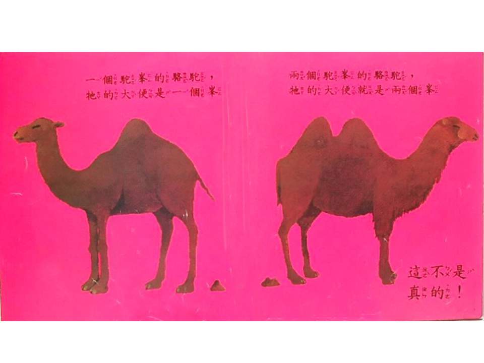 儿童绘本故事推荐世界优秀科学图画书《大家来大便》