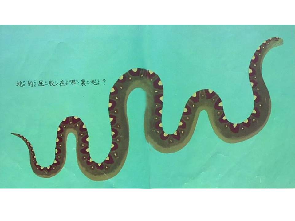 儿童绘本故事推荐世界优秀科学图画书《大家来大便》