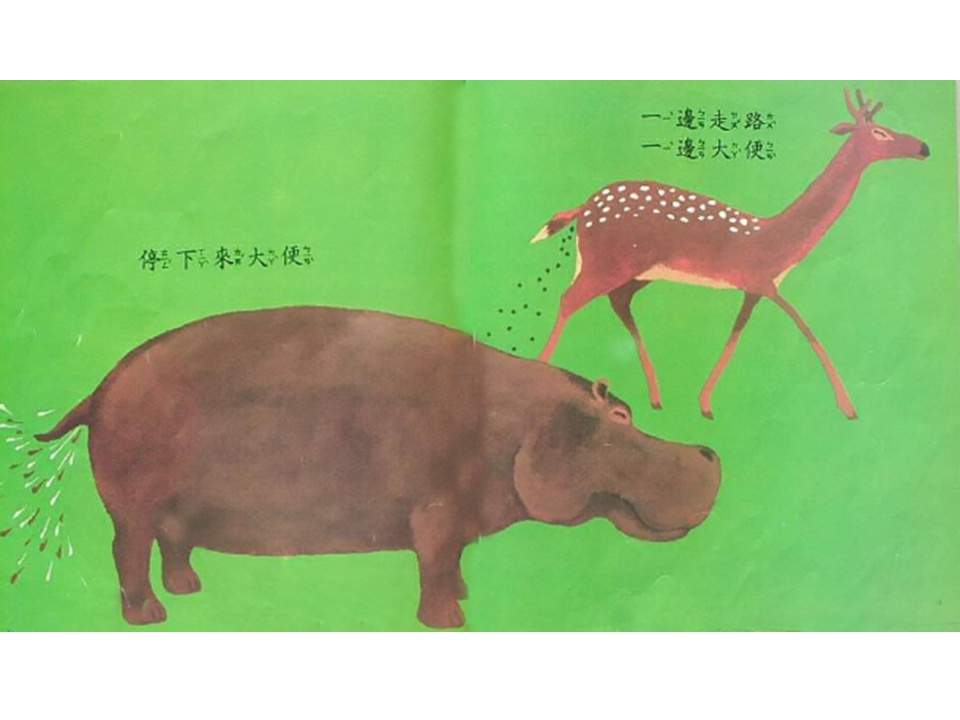 儿童绘本故事推荐世界优秀科学图画书《大家来大便》