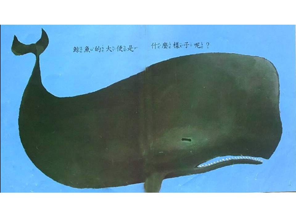 儿童绘本故事推荐世界优秀科学图画书《大家来大便》