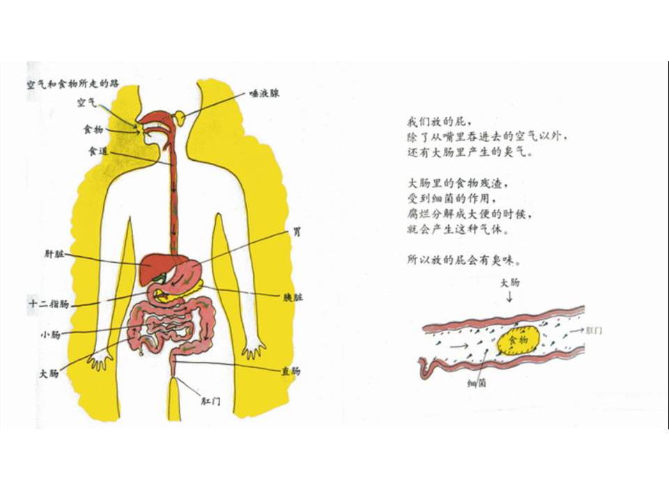 儿童绘本故事推荐世界优秀科学图画书《放屁》