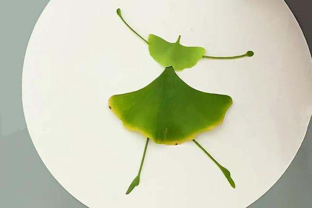 树叶手工粘贴画教程：银杏叶粘贴画跳舞的女孩