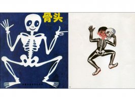儿童绘本故事推荐世界优秀科学图画书《骨头》