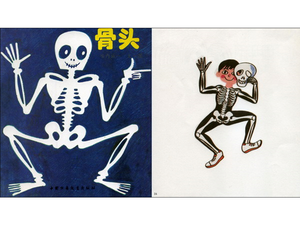 儿童绘本故事推荐世界优秀科学图画书《骨头》