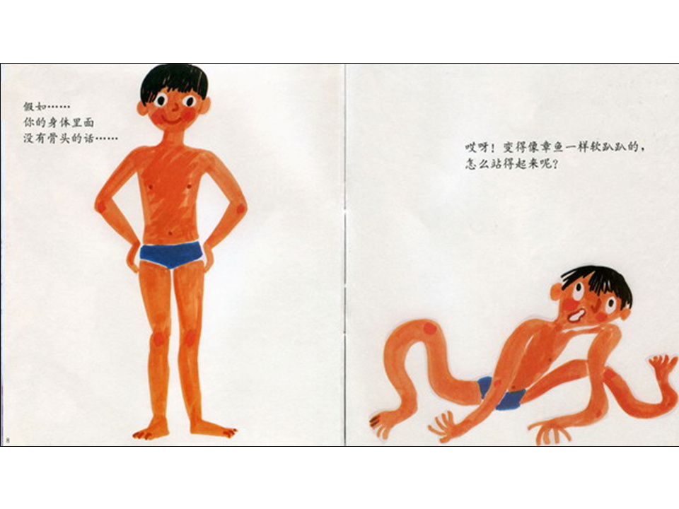 儿童绘本故事推荐世界优秀科学图画书《骨头》