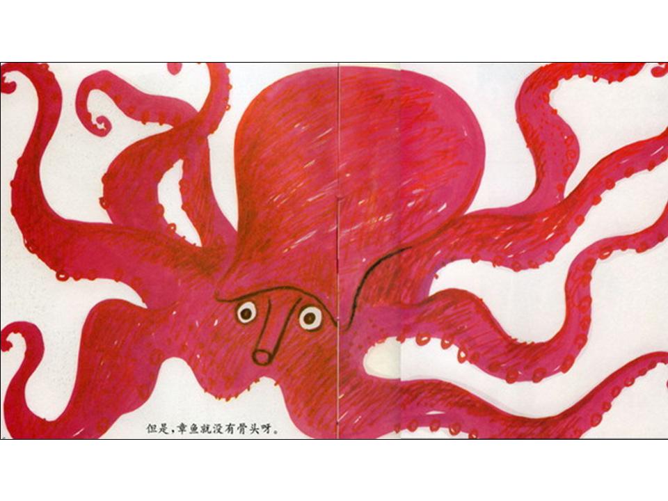 儿童绘本故事推荐世界优秀科学图画书《骨头》