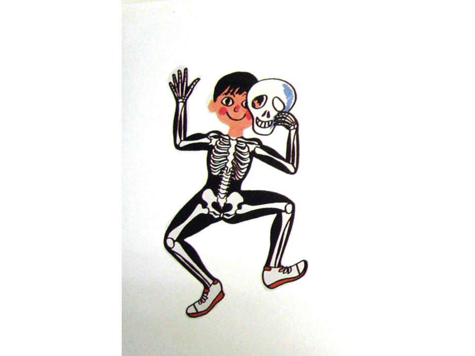 儿童绘本故事推荐世界优秀科学图画书《骨头》