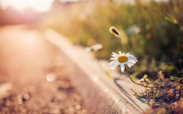 总有一种___属于你800字