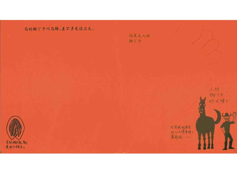 儿童绘本故事推荐世界优秀科学图画书《脚丫子的故事》