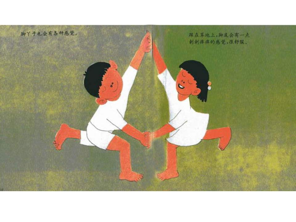 儿童绘本故事推荐世界优秀科学图画书《脚丫子的故事》