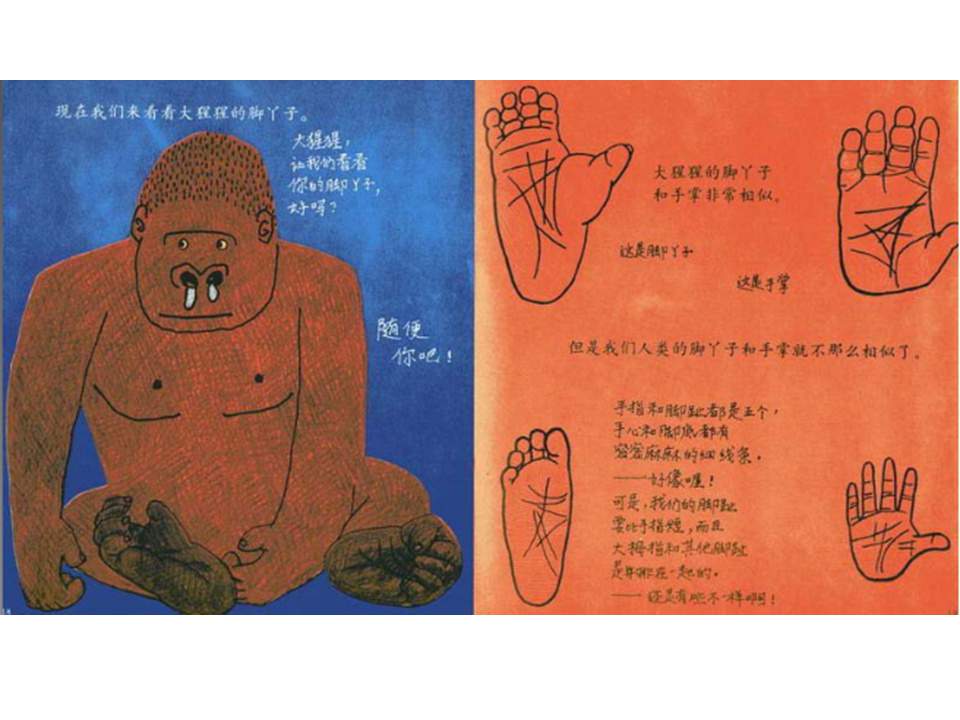 儿童绘本故事推荐世界优秀科学图画书《脚丫子的故事》